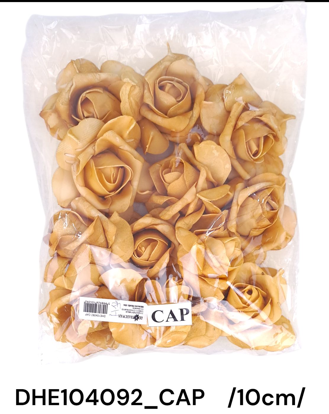 DHE104092_CAP