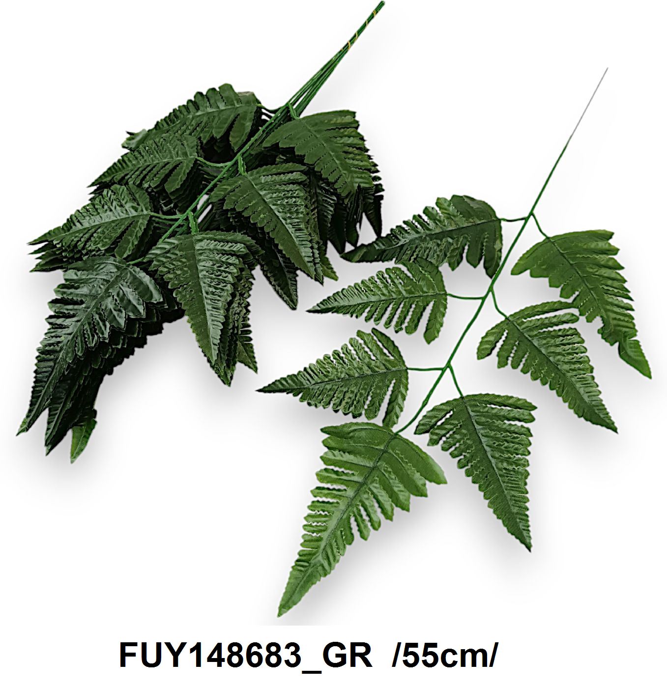 FUY148683_GR