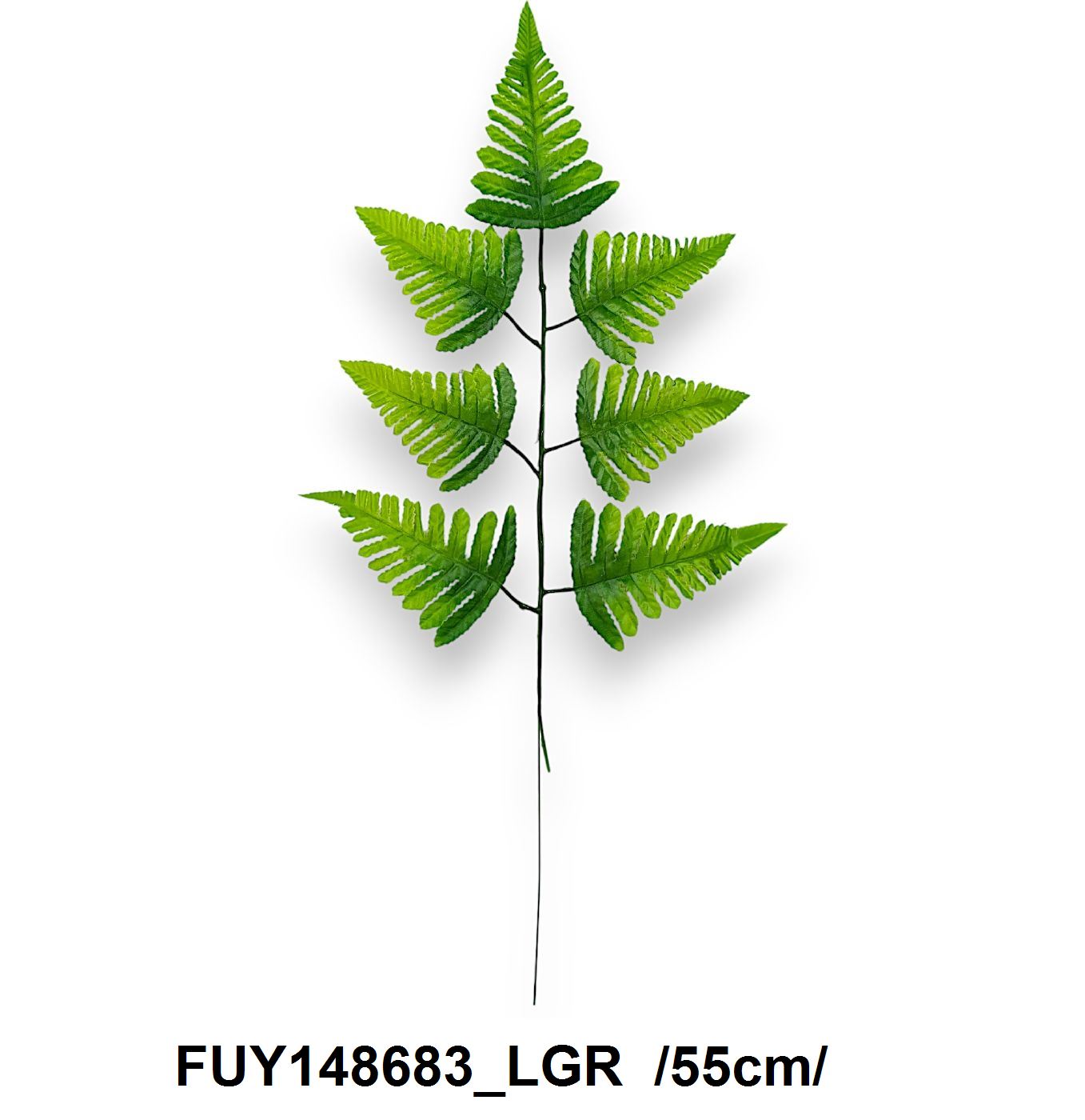 FUY148683_LGR