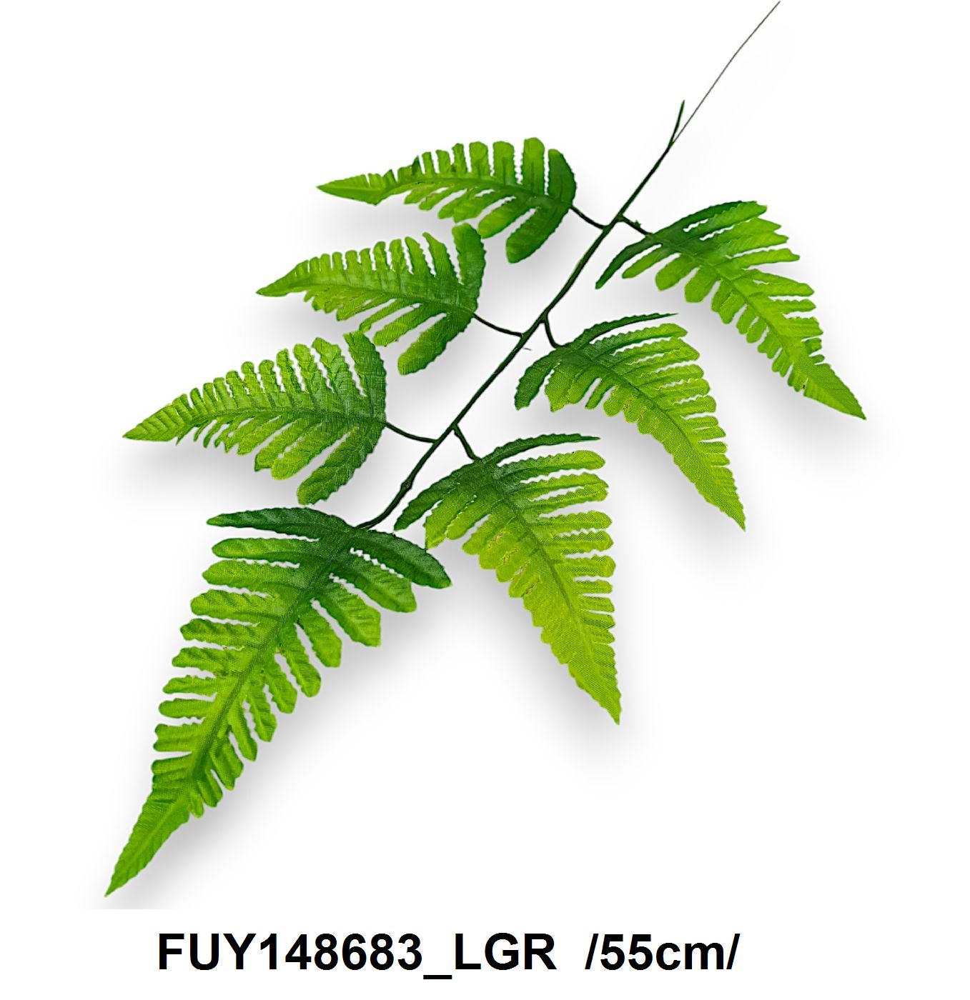 FUY148683_LGR