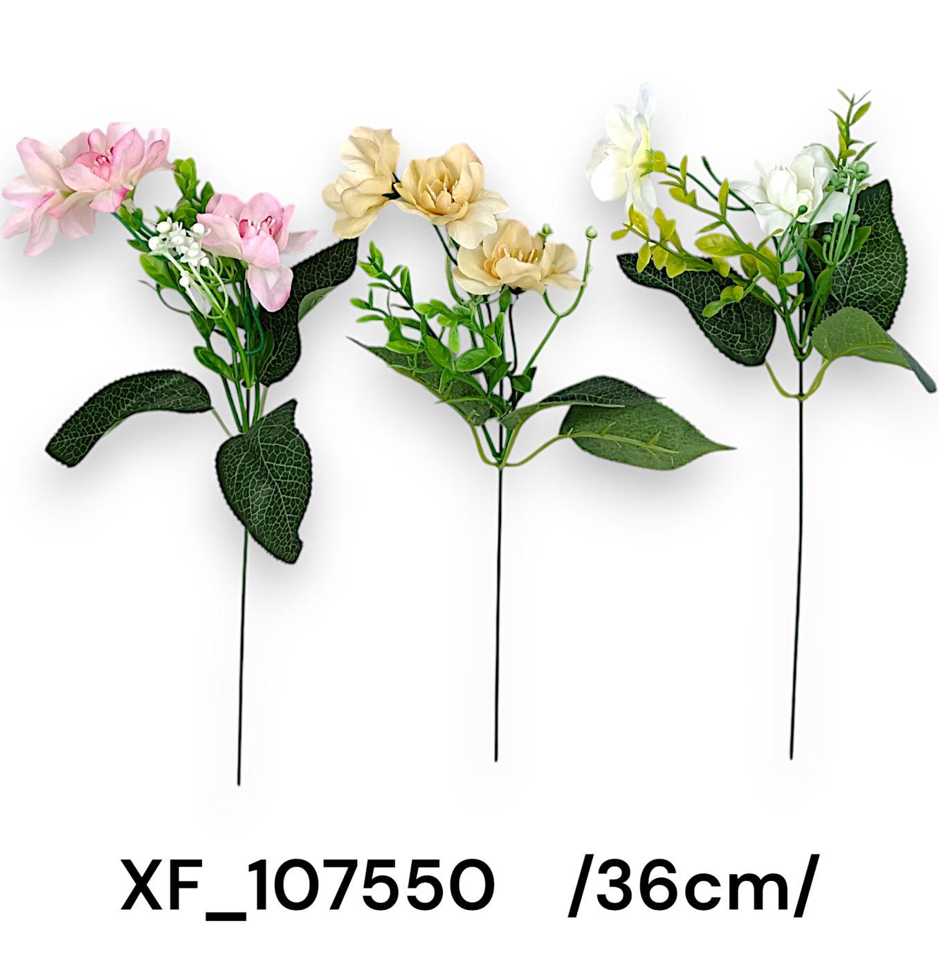 XF_107550