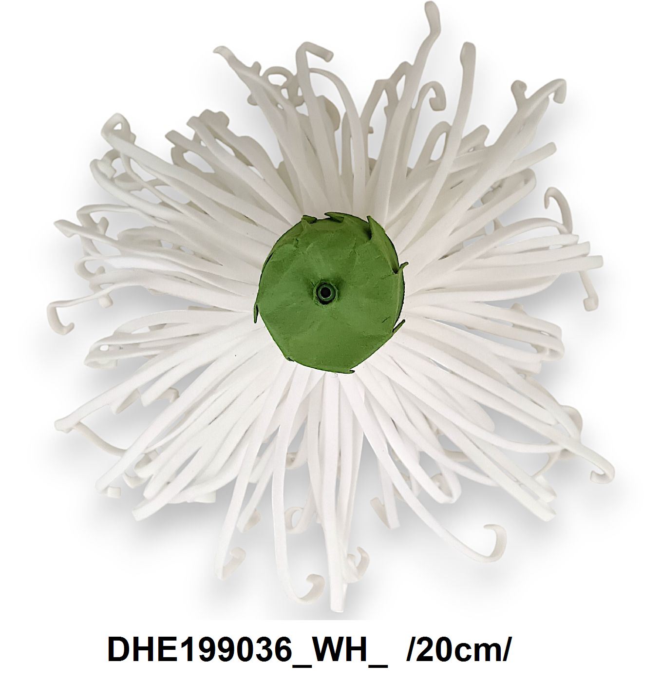 DHE199036_WH_