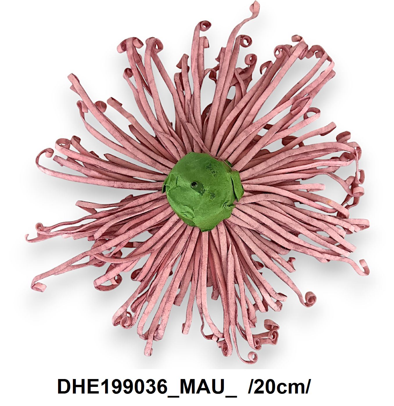 DHE199036_MAU_
