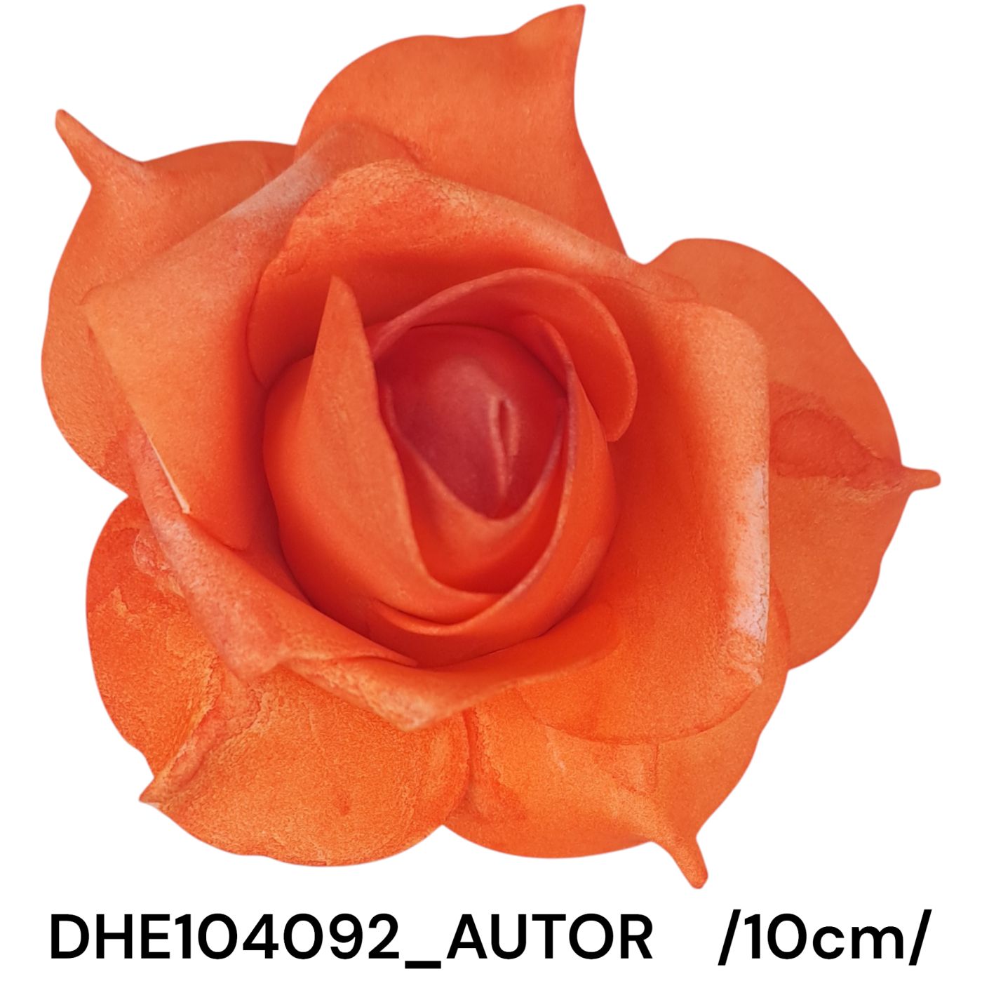 DHE104092_AUTOR