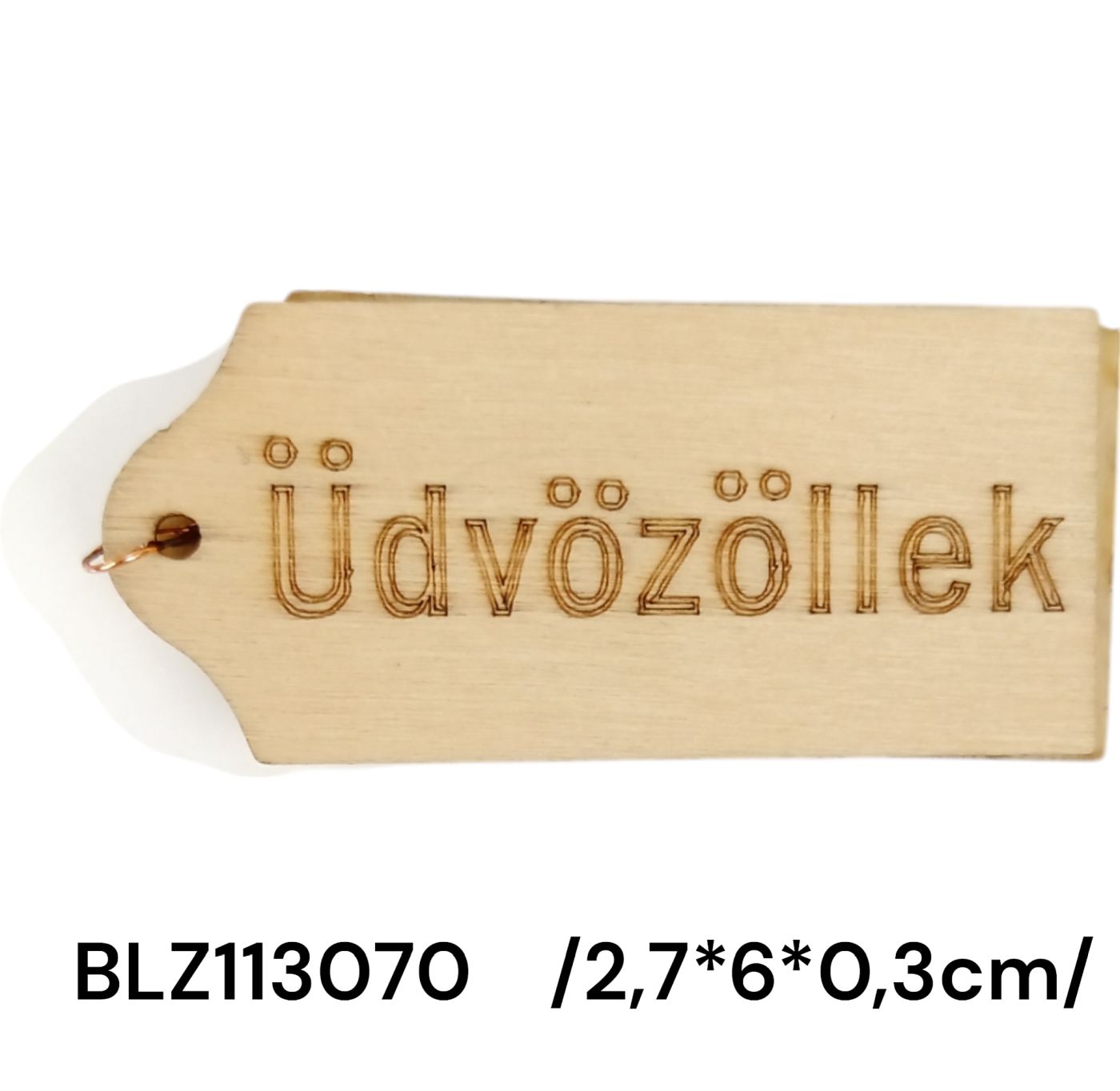 BLZ113070