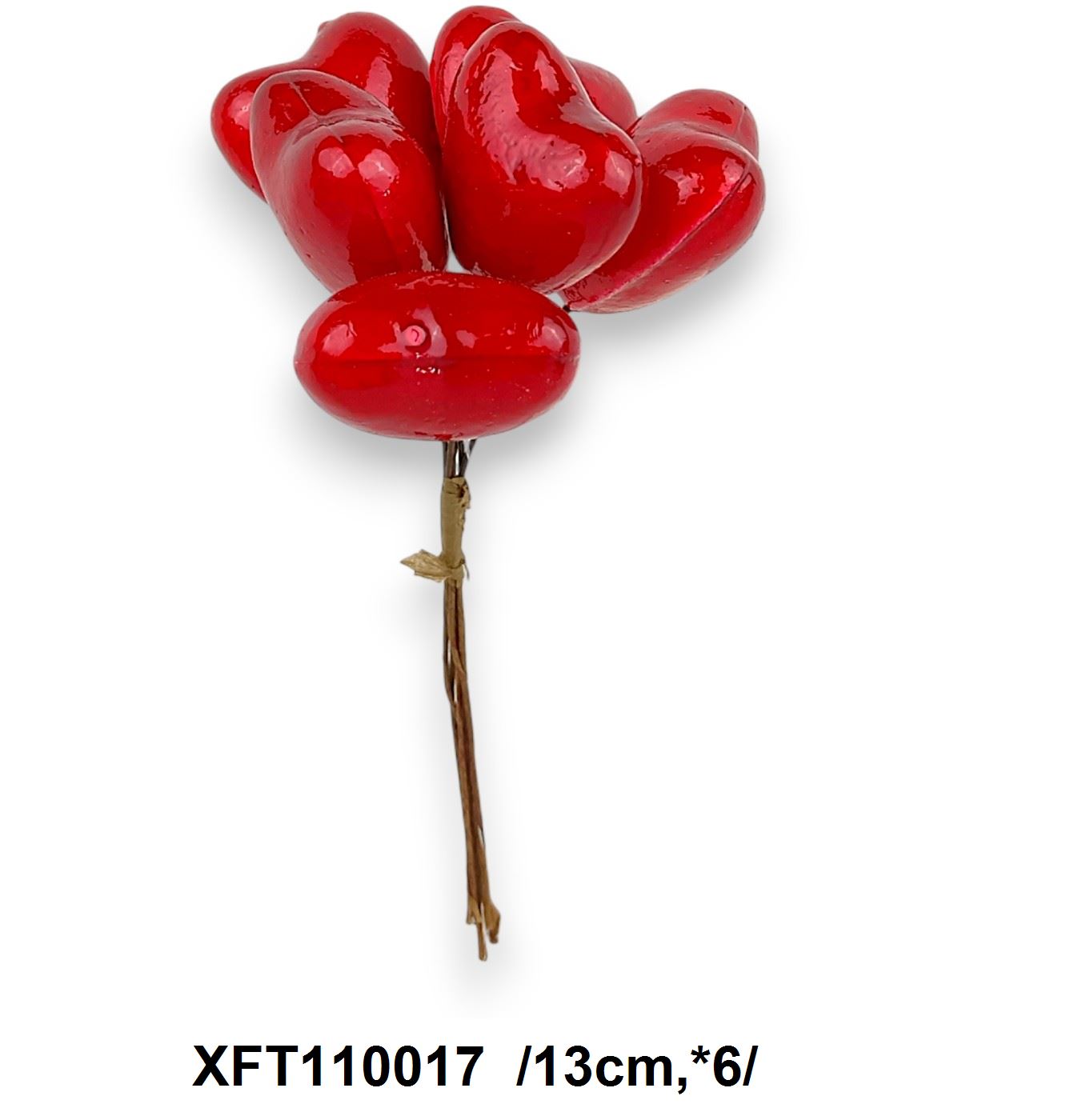 XFT110017