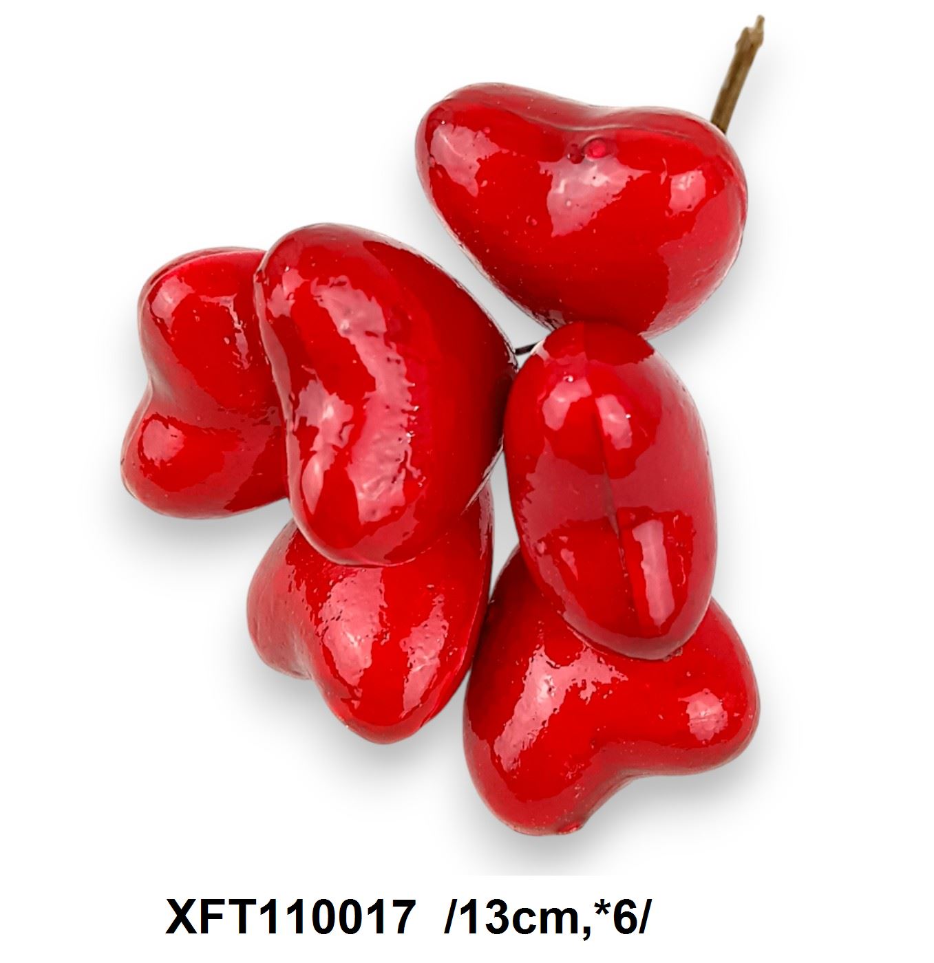 XFT110017