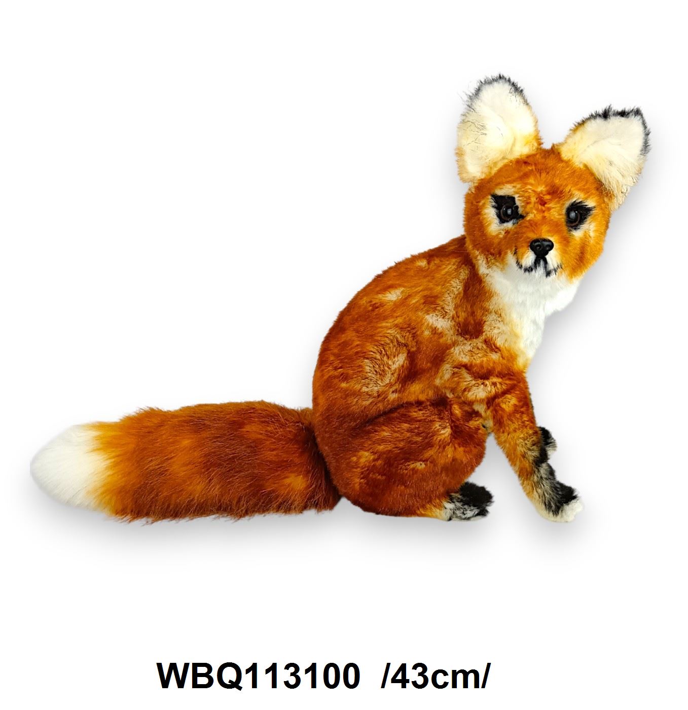 WBQ113100