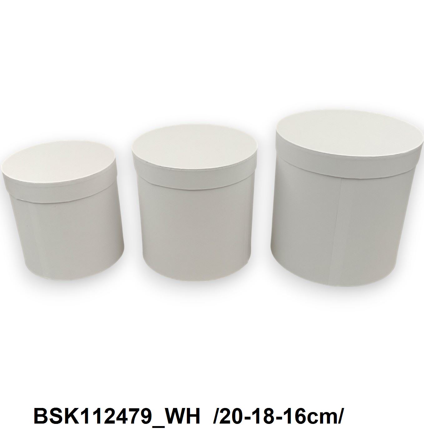 BSK112479_WH