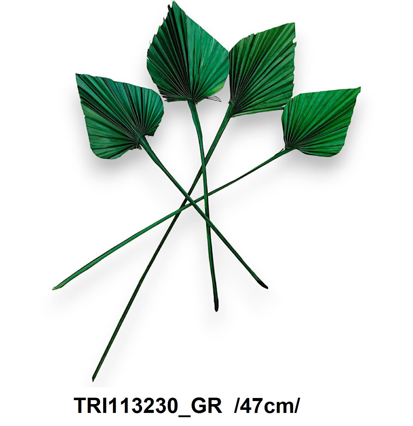 TRI113230_GR