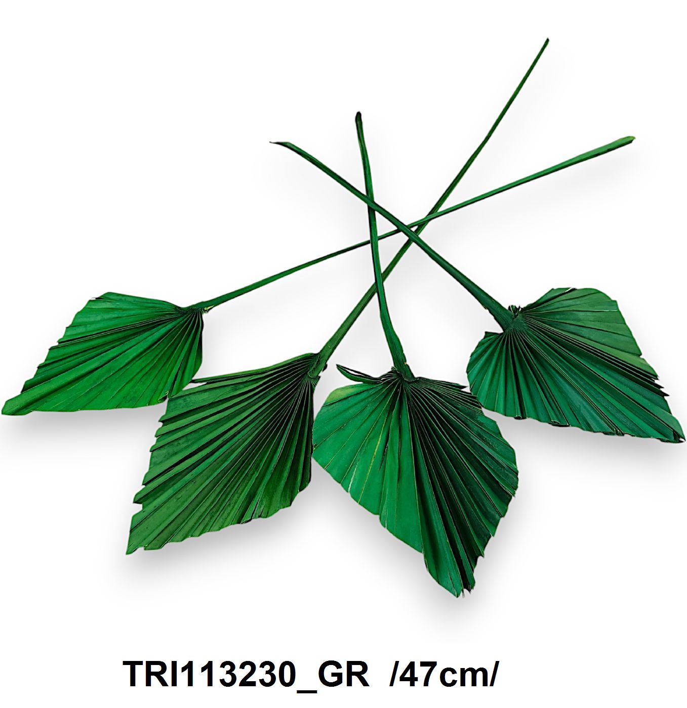TRI113230_GR