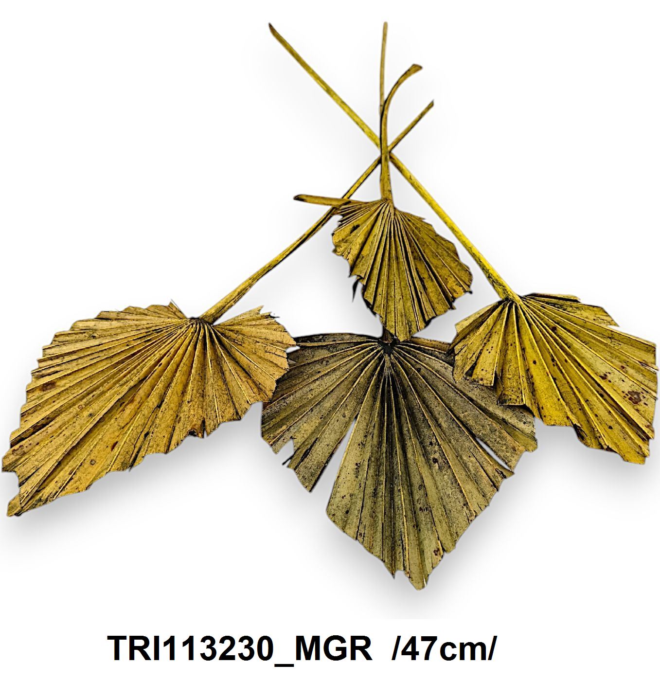 TRI113230_MGR