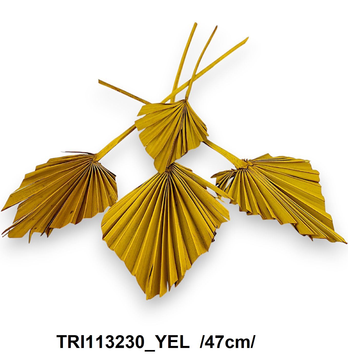 TRI113230_YEL