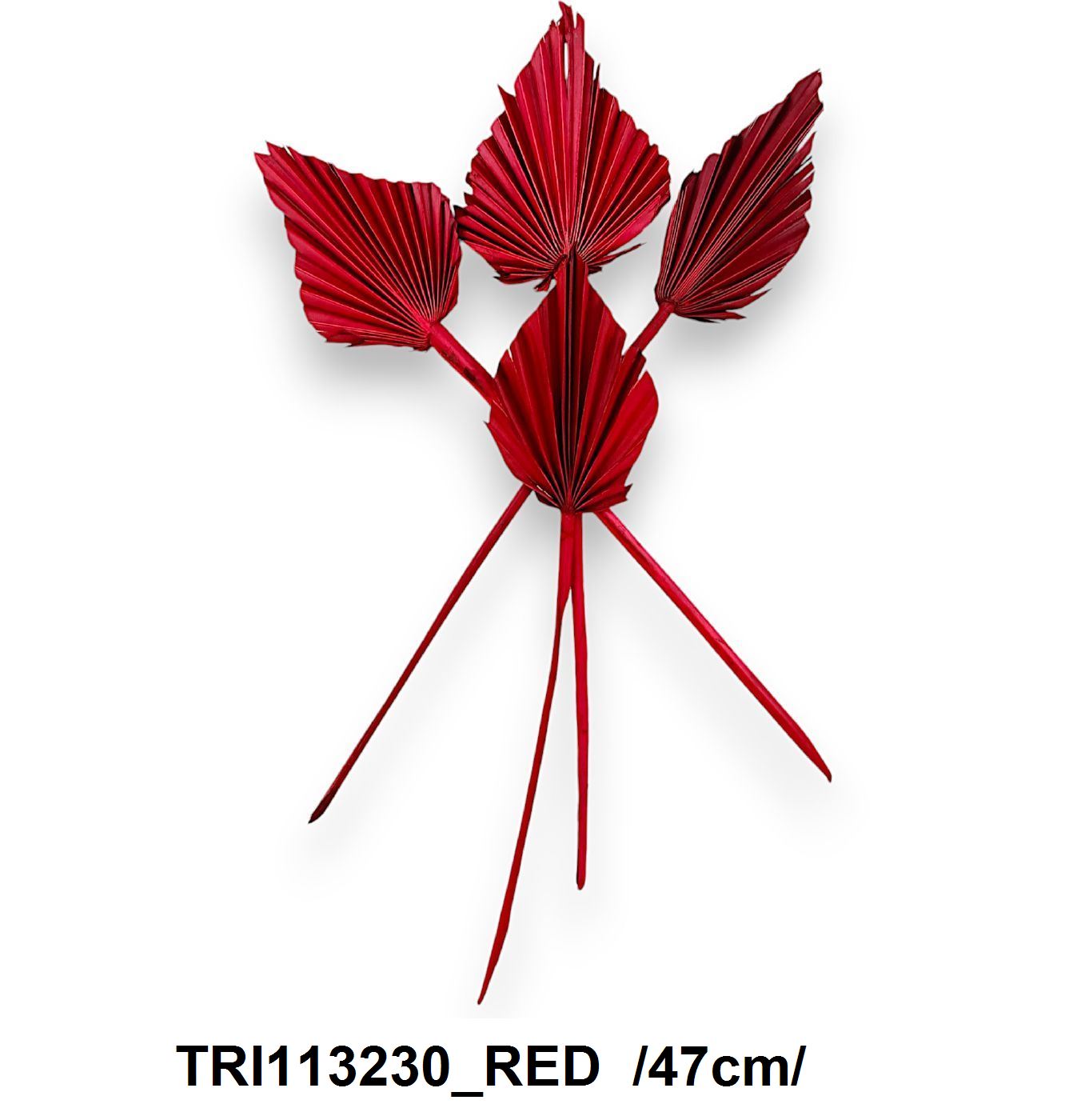 TRI113230_RED