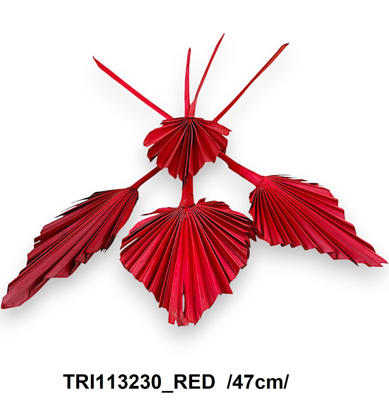 TRI113230_RED