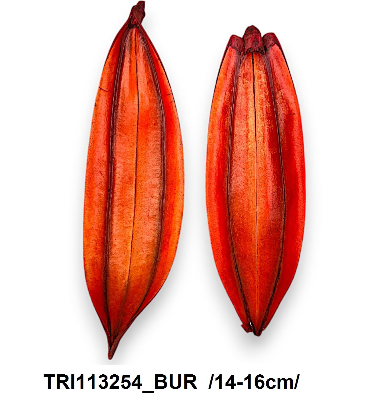 TRI113254_BUR