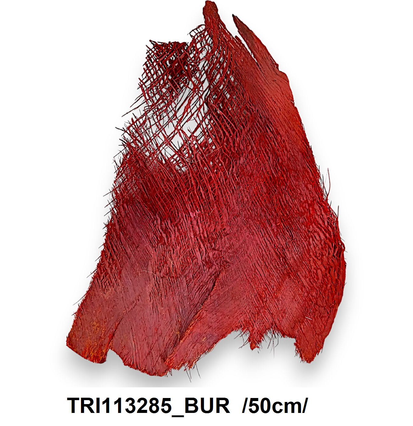 TRI113285_BUR