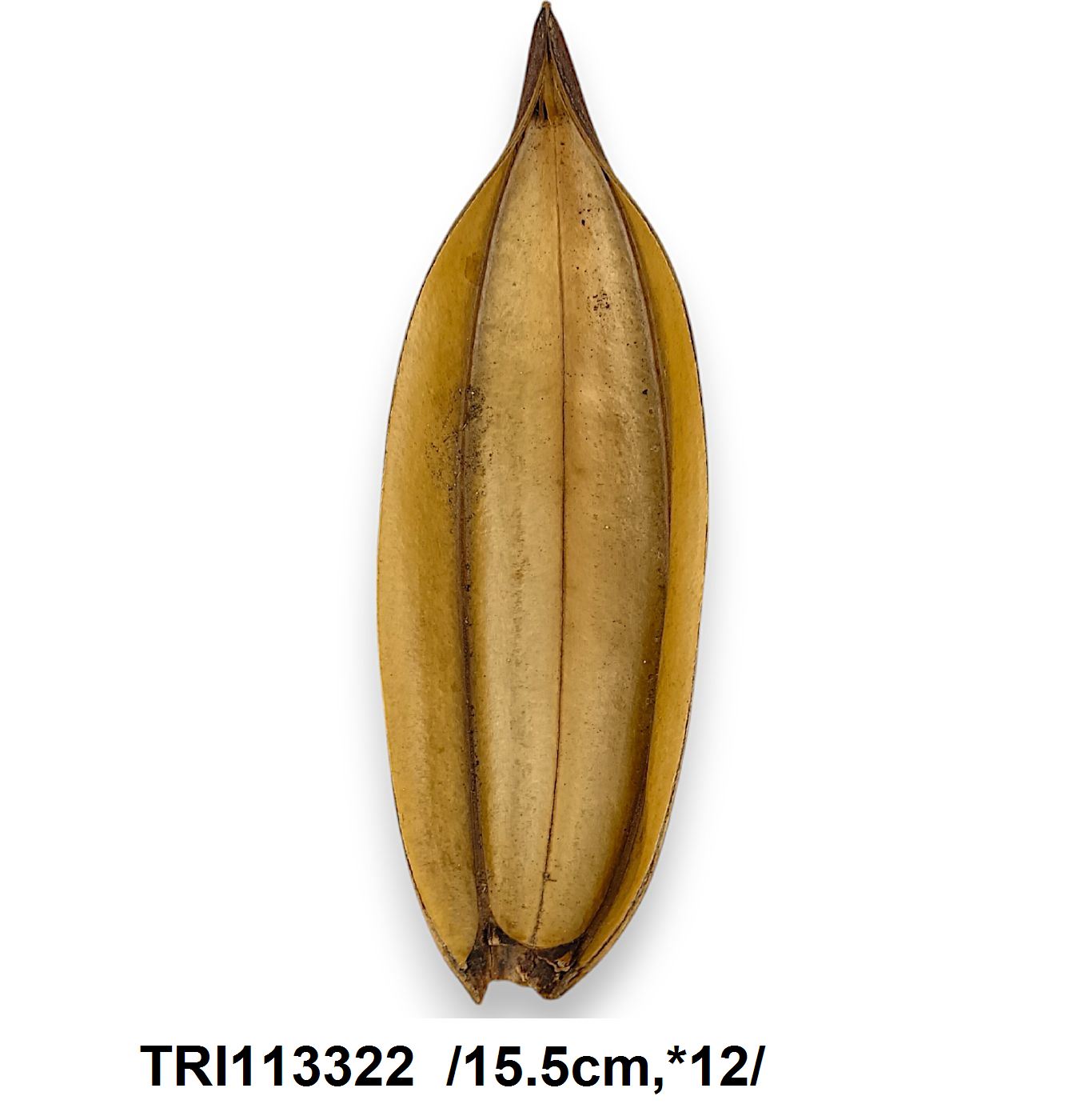 TRI113322