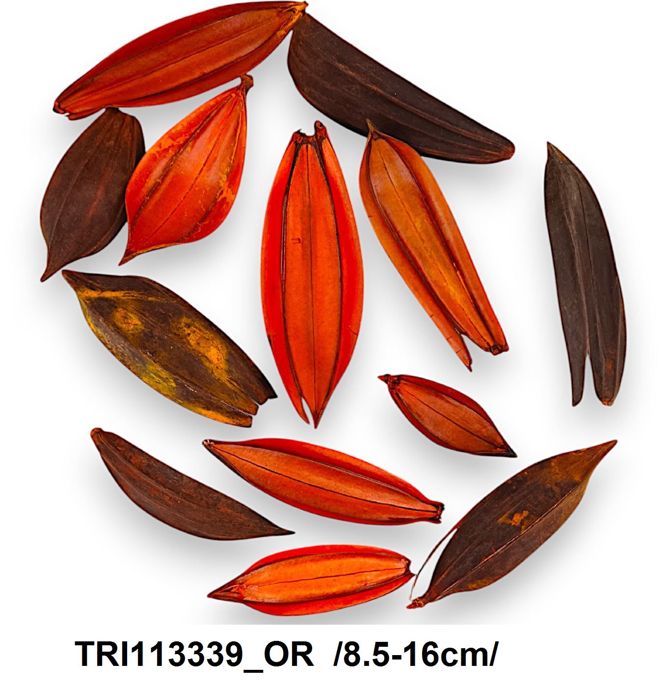 TRI113339_OR
