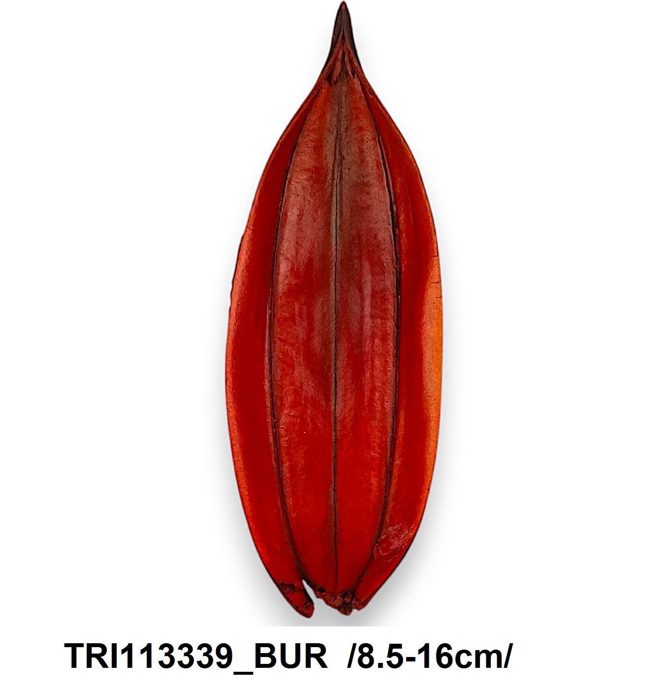 TRI113339_BUR