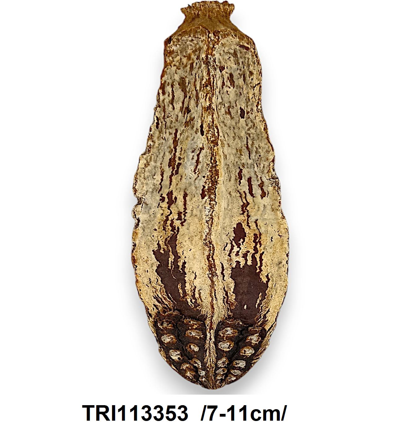 TRI113353