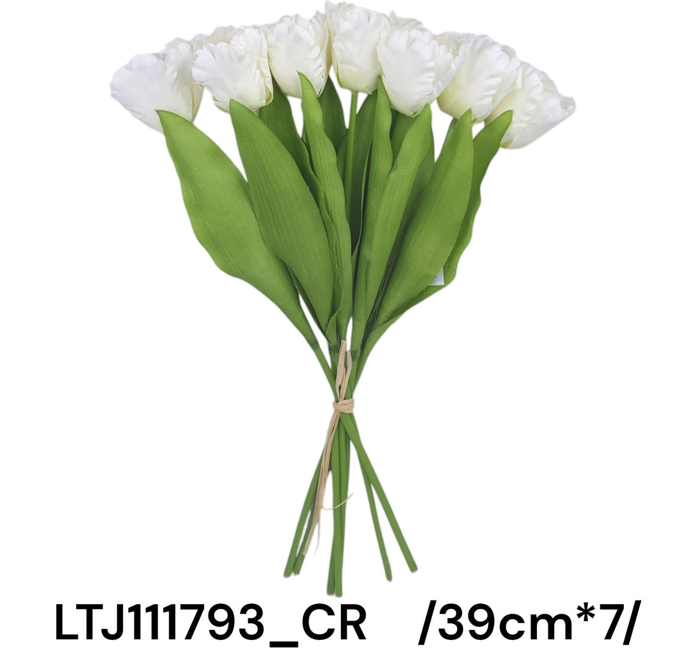 LTJ111793_CR