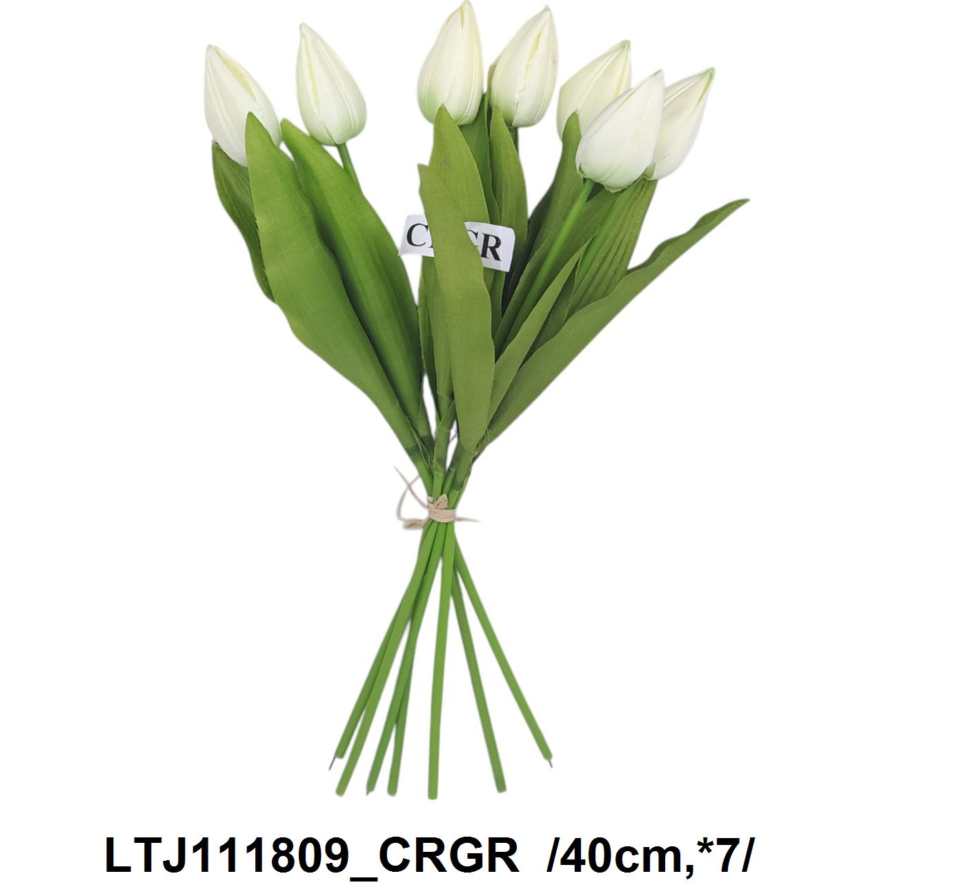 LTJ111809_CRGR