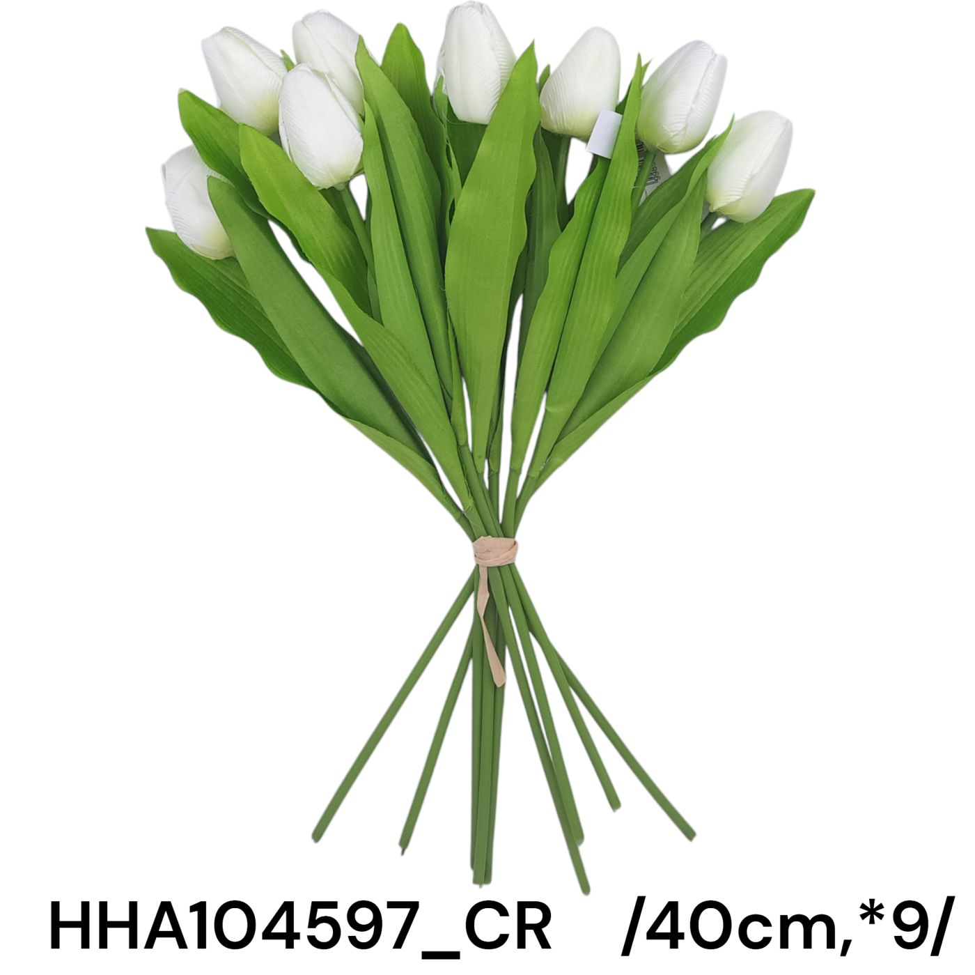 HHA104597_CR
