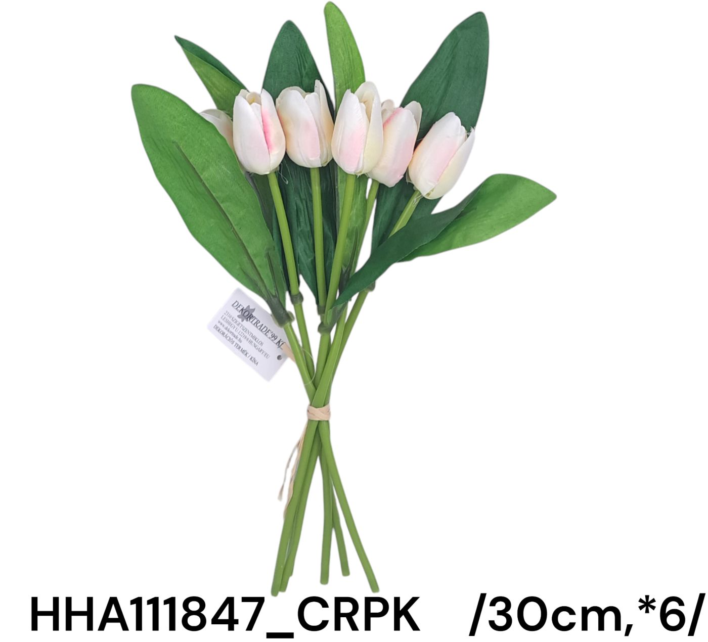HHA111847_CRPK