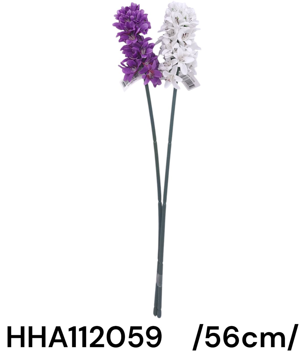 HHA112059