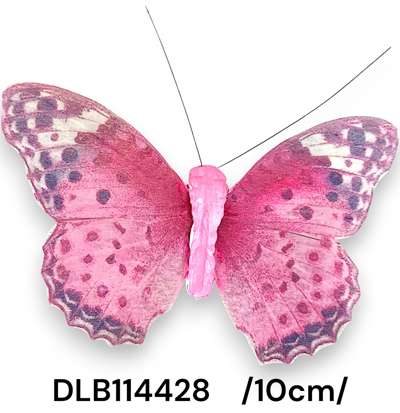 DLB114428