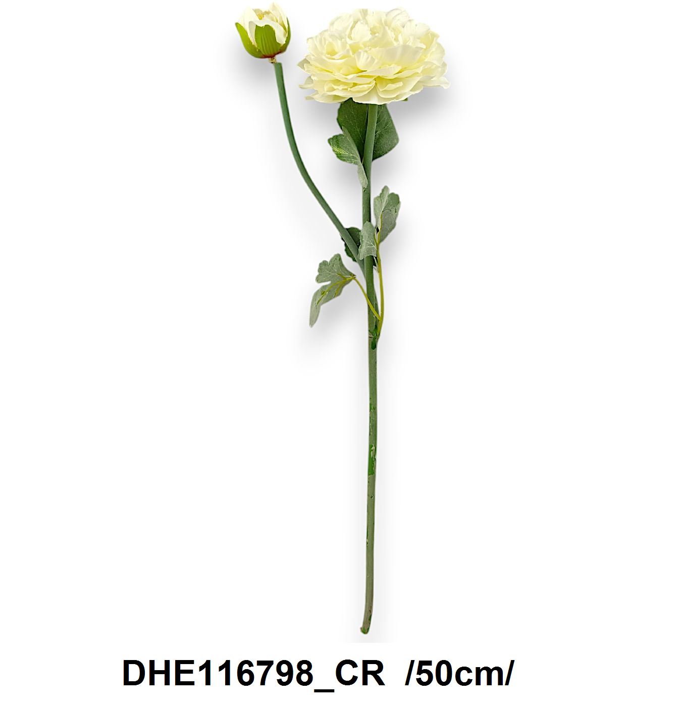 DHE116798_CR