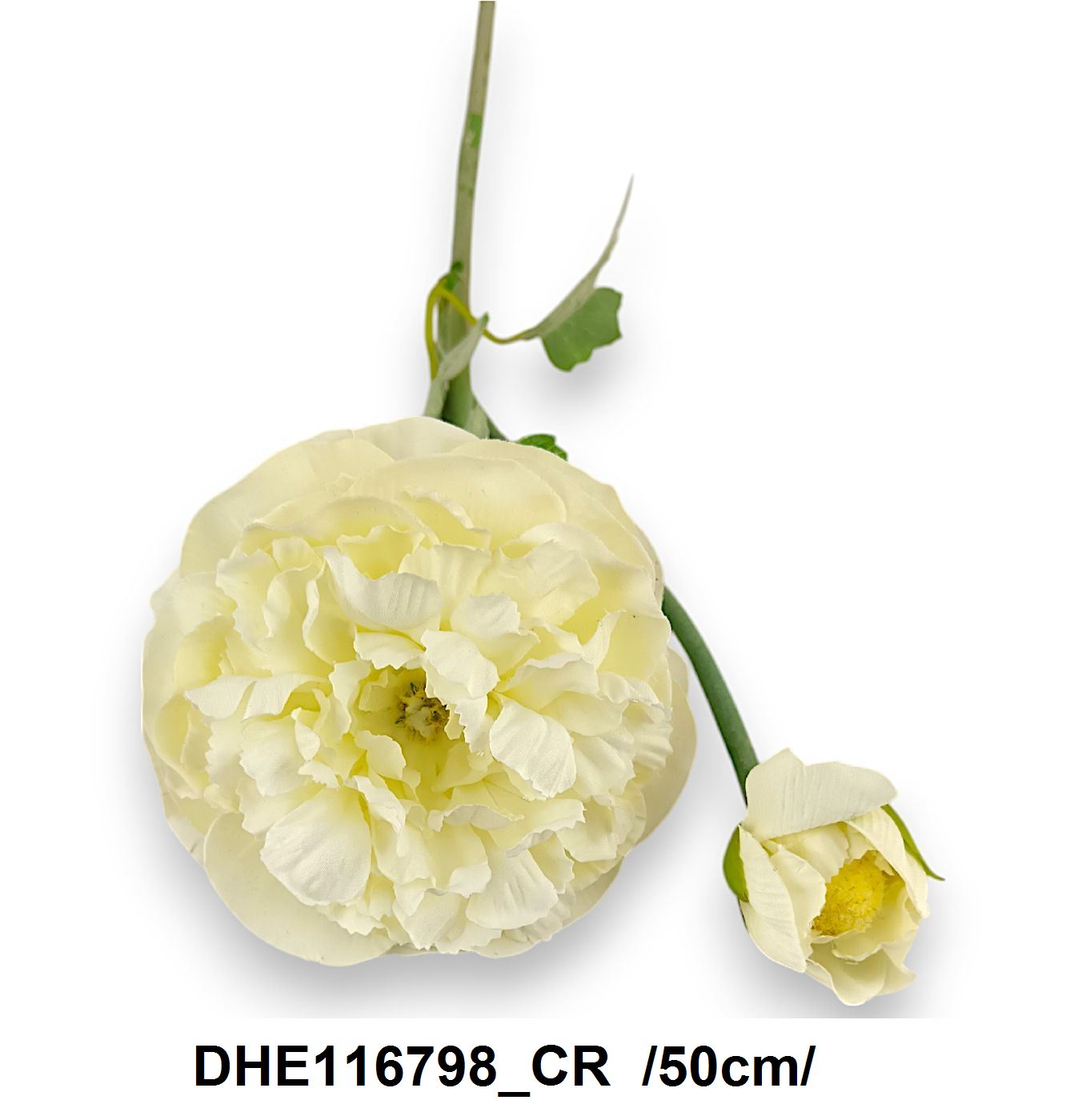 DHE116798_CR