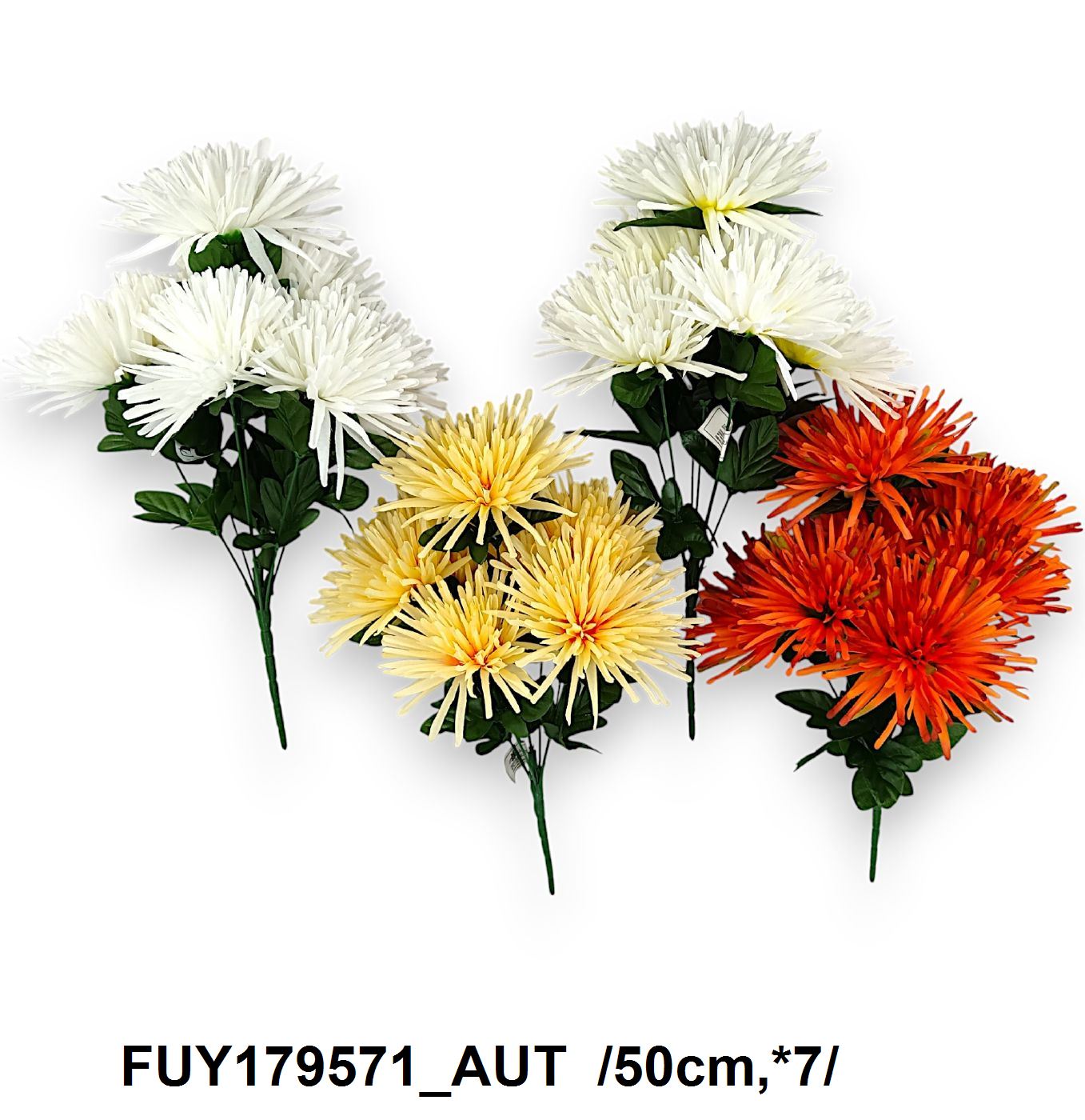 FUY179571_AUT