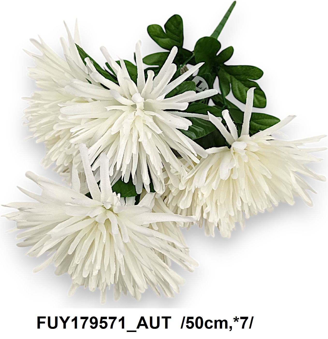 FUY179571_AUT