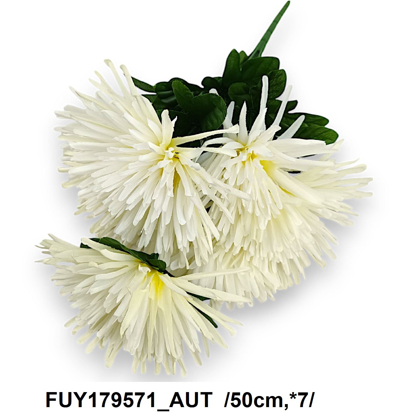 FUY179571_AUT