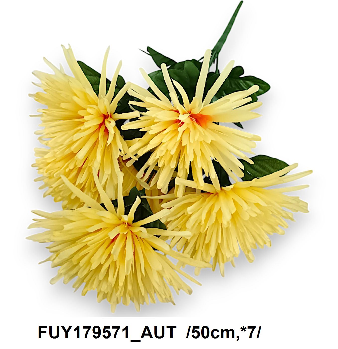 FUY179571_AUT