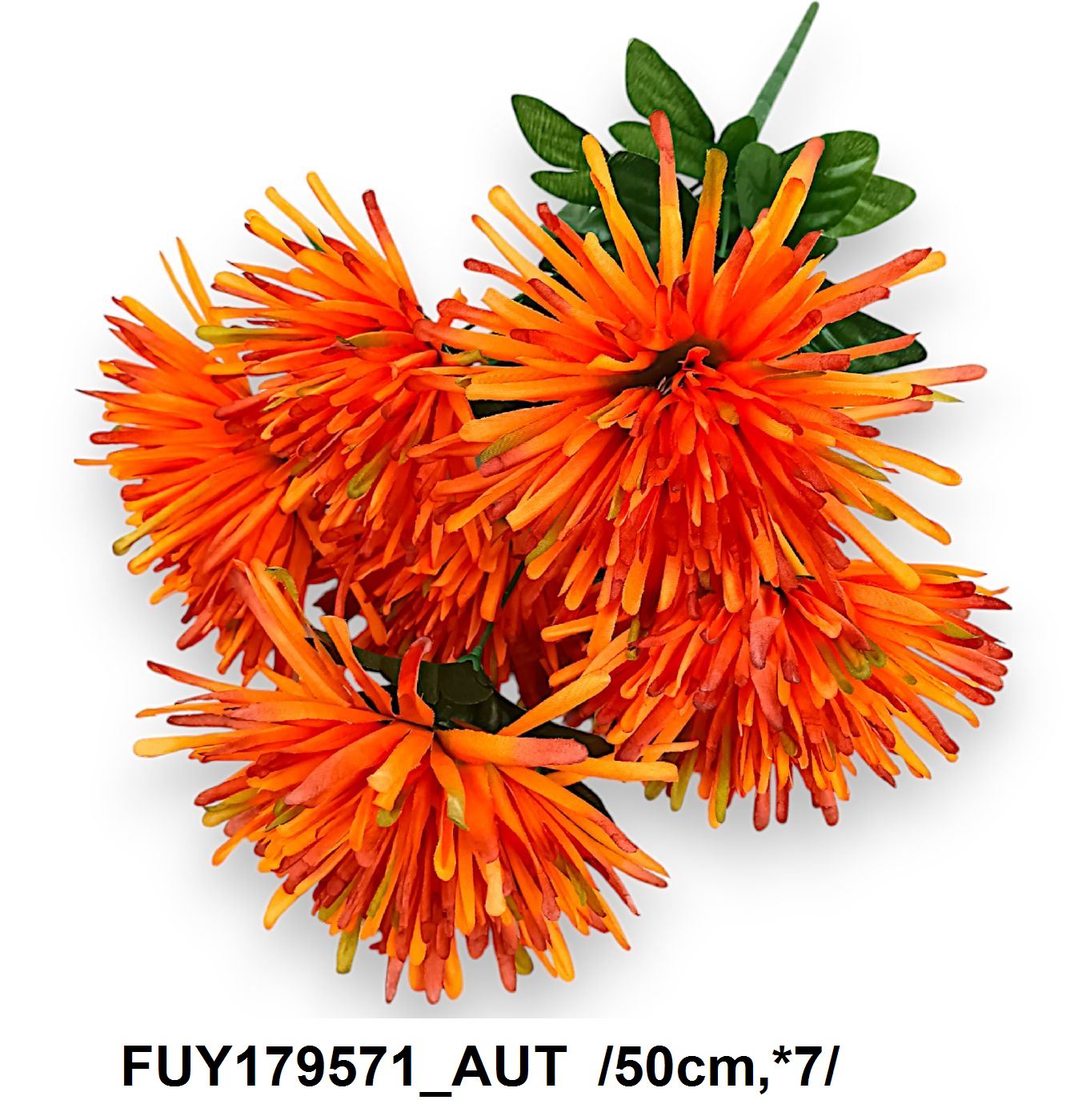 FUY179571_AUT