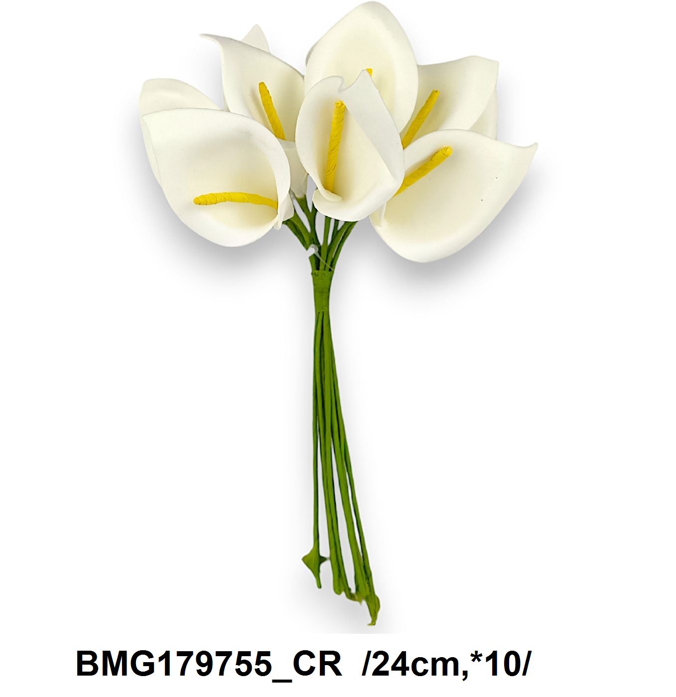 BMG179755_CR