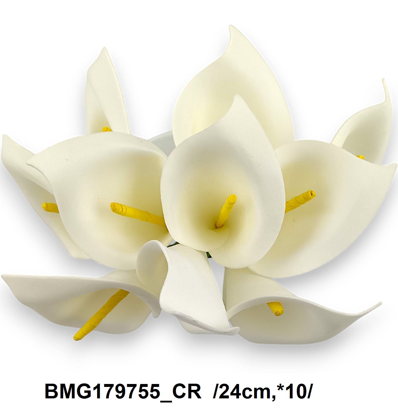 BMG179755_CR