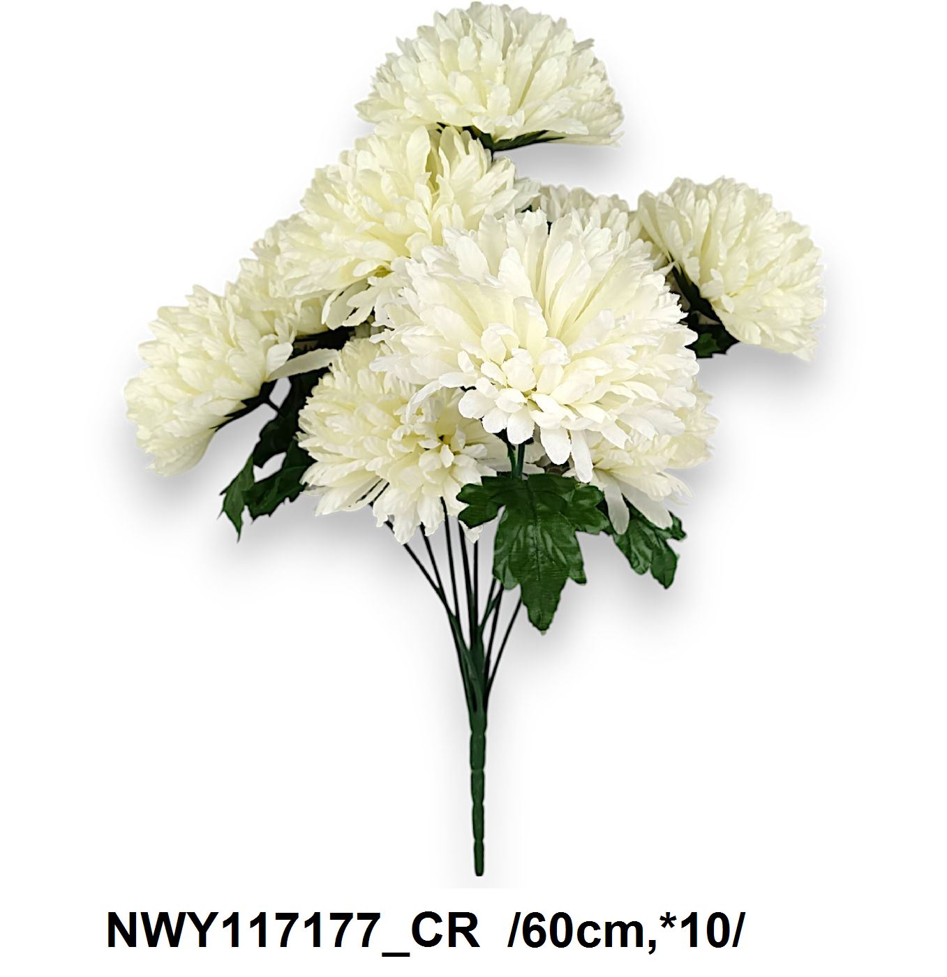 NWY117177_CR
