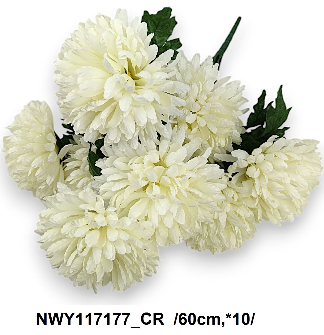 NWY117177_CR