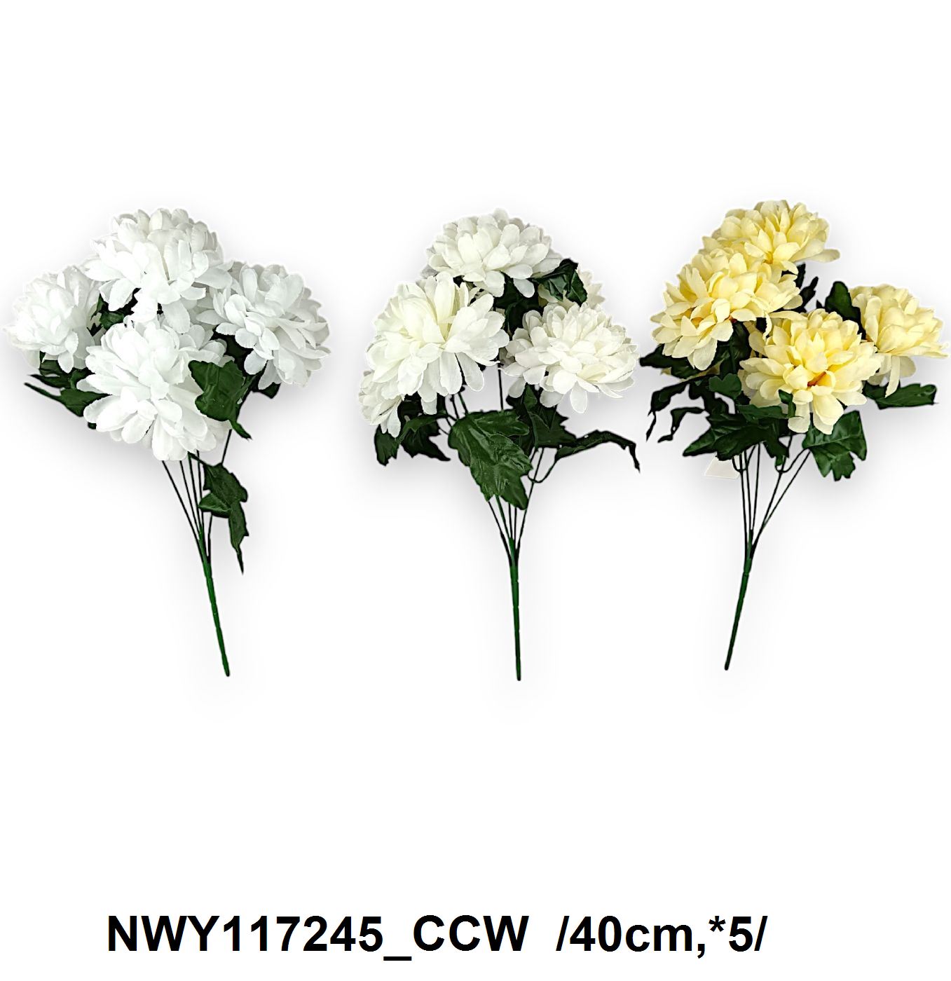 NWY117245_CCW