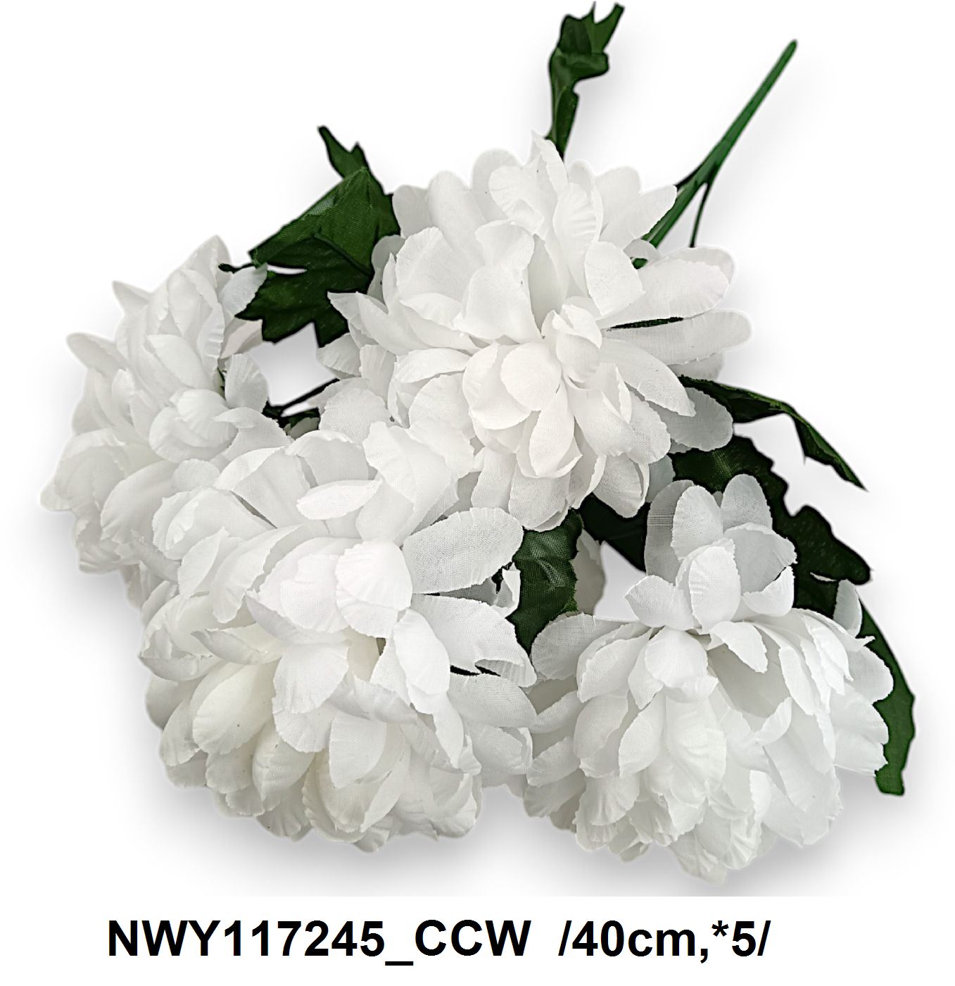 NWY117245_CCW
