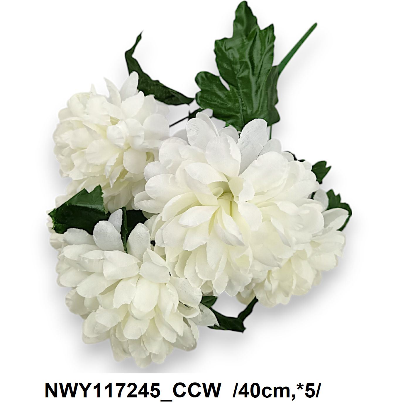 NWY117245_CCW