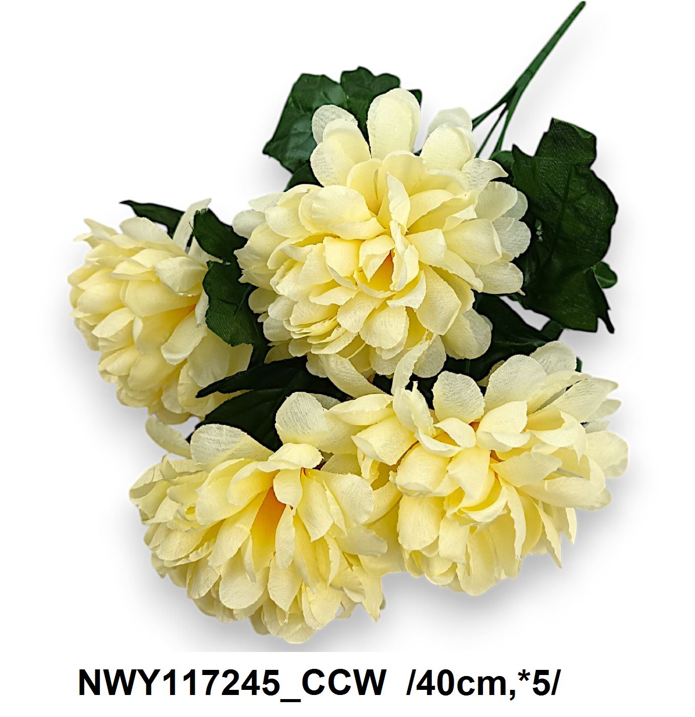 NWY117245_CCW