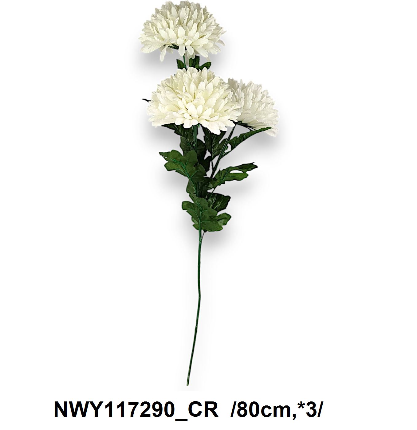 NWY117290_CR