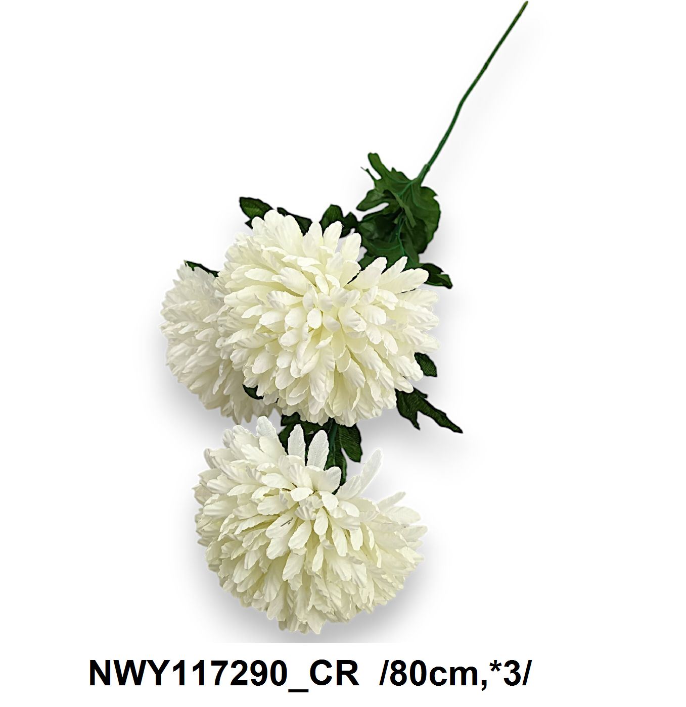 NWY117290_CR