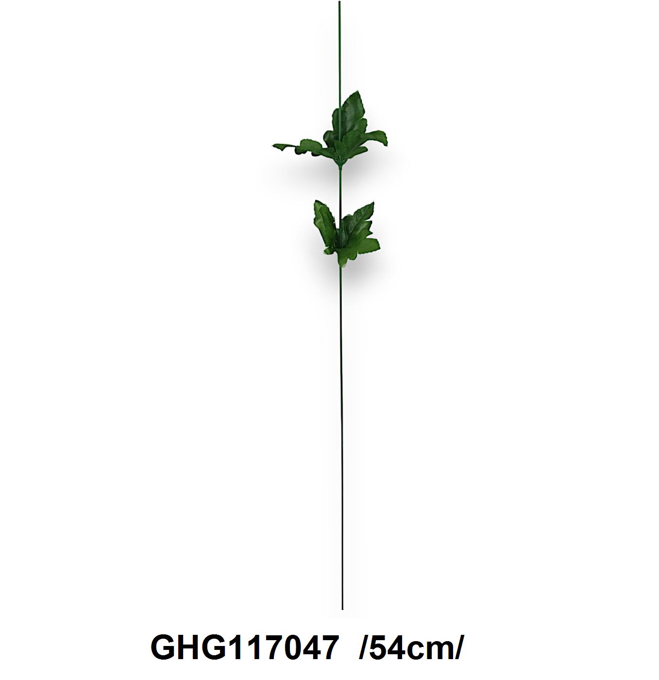 GHG117047