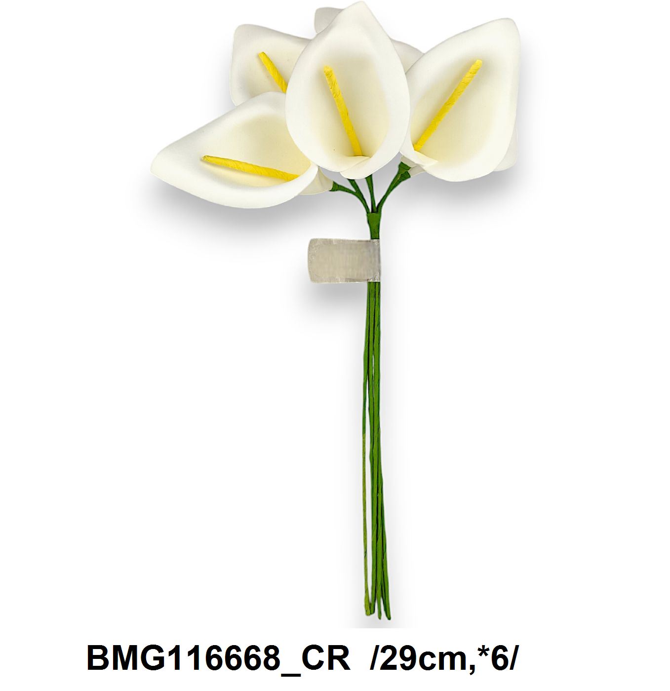 BMG116668_CR
